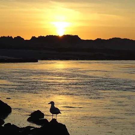 Le Cottage De L'Authie * Berck