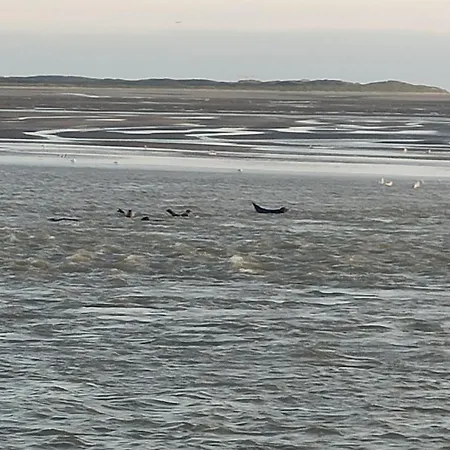 Le Cottage De L'Authie * Berck